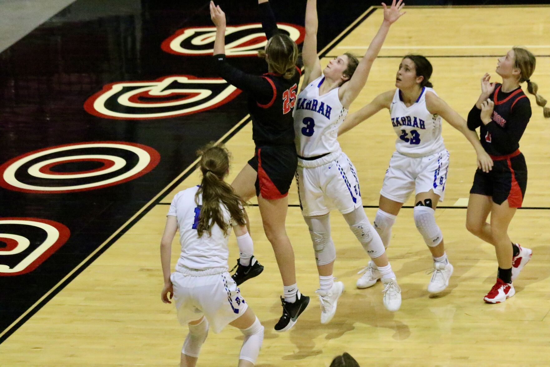 Lady Dawgs vs. Harrah15.jpeg